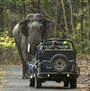 Dhikala and Gairal 2 Nights 3 Days Tour Package